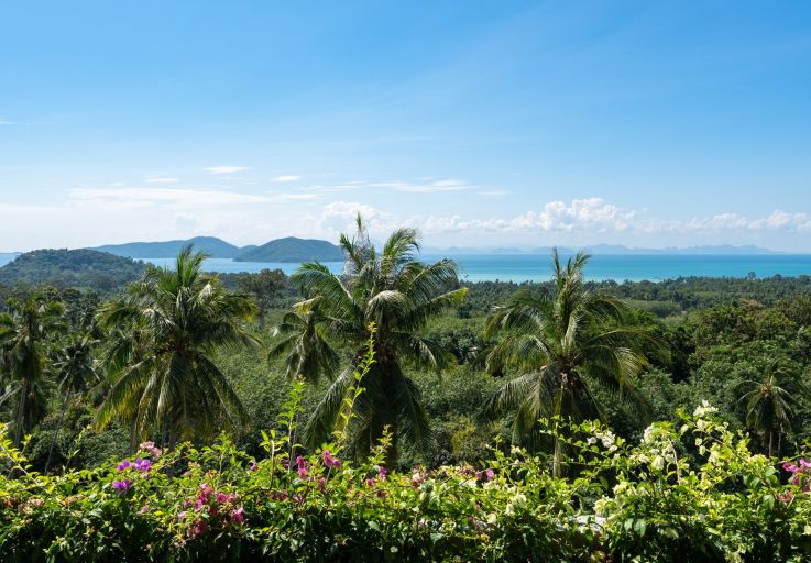 ultra-designer-villa-for-sale-koh-samui-thong-krut